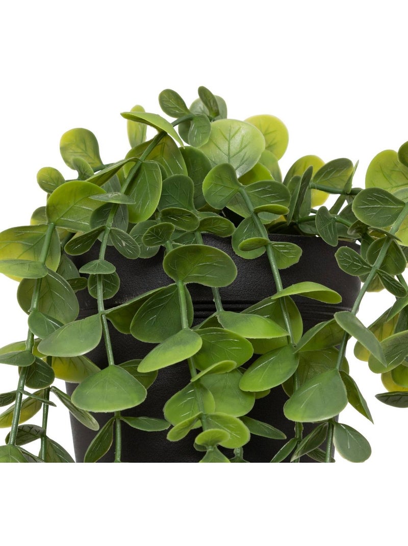 Eucalyptus artificiel tombant en pot Vert clair - Kiabi