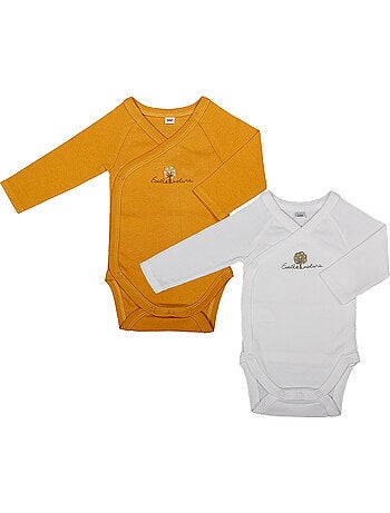 Eveil et Nature Lot de 2 Bodys Manches Longues Coton bio