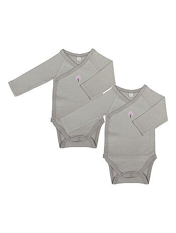 Eveil Et Nature Lot De 2 Bodys Manches Longues Coton Bio