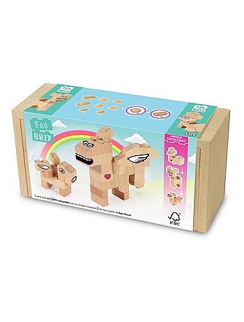 FabBrix Amis Fantastiques