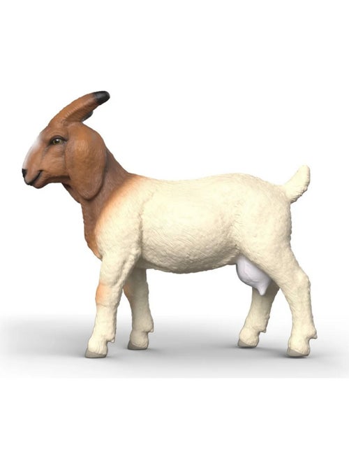 Farm World Chèvre Boer - Kiabi