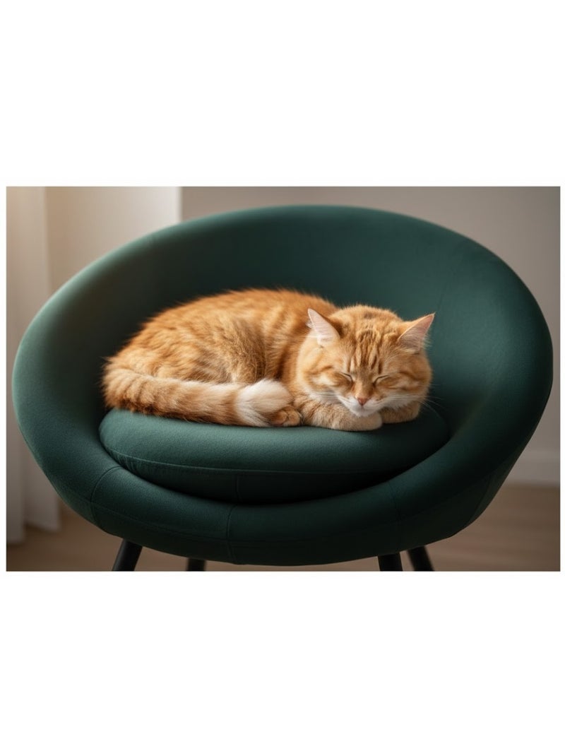 Fauteuil pour chien ou chat Sofa vert Vert - Kiabi