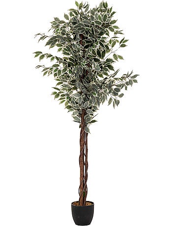 Ficus artificiel artifices