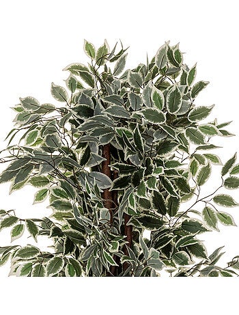 Ficus artificiel artifices