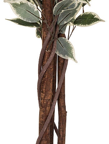 Ficus artificiel artifices