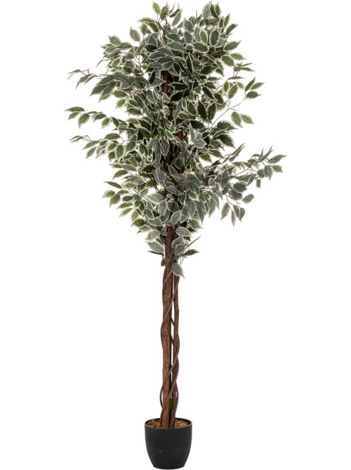 Ficus artificiel ARTIFICES - Kiabi