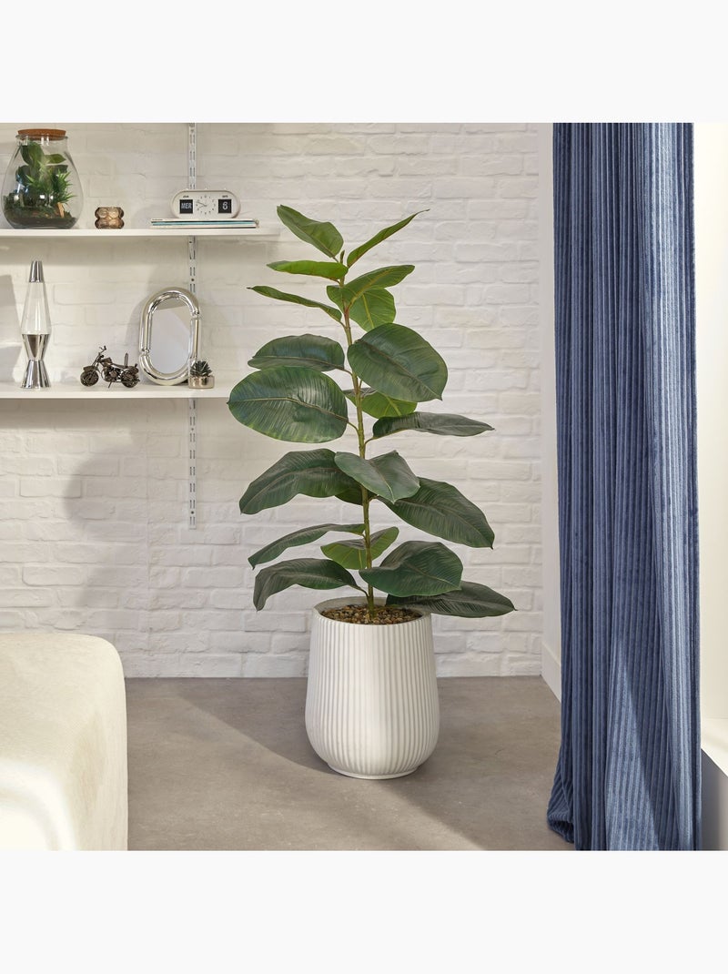 Ficus artificiel en pot SKY Blanc - Kiabi