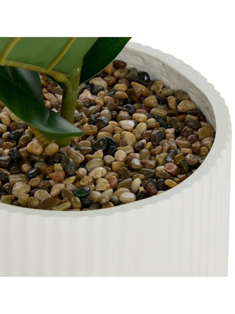 Ficus artificiel en pot SKY Blanc - Kiabi