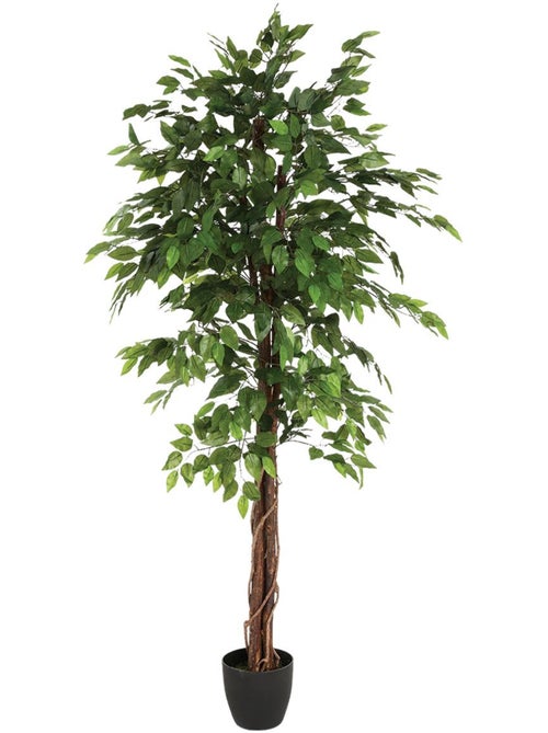 Ficus artificiel en pot - Kiabi