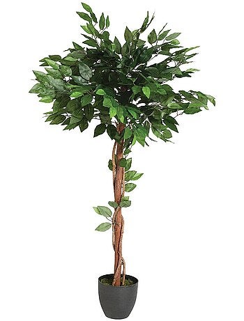 Ficus artificiel