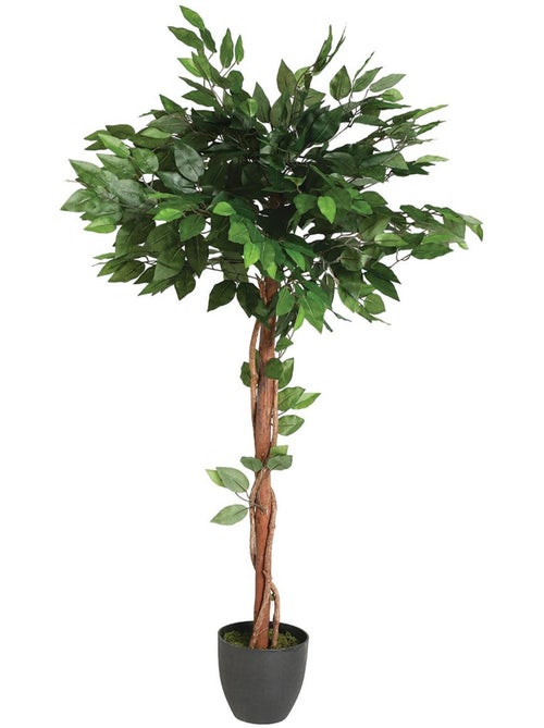 Ficus artificiel - Kiabi