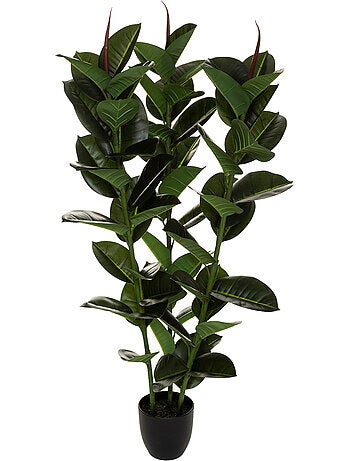 Ficus robusta artificiel