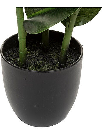 Ficus robusta artificiel