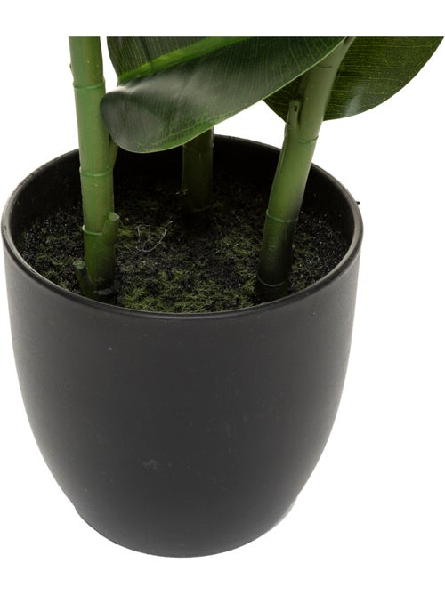Ficus robusta artificiel - Kiabi