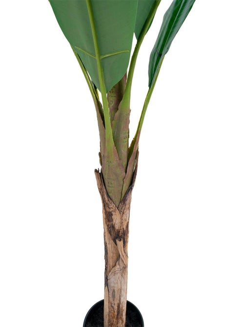 Figuier artificiel 50 cm - House Nordic - Kiabi Figuier artificiel 50 cm - House Nordic - Kiabi