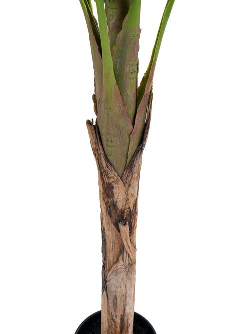 Figuier artificiel 50 cm - House Nordic - Kiabi Figuier artificiel 50 cm - House Nordic - Kiabi