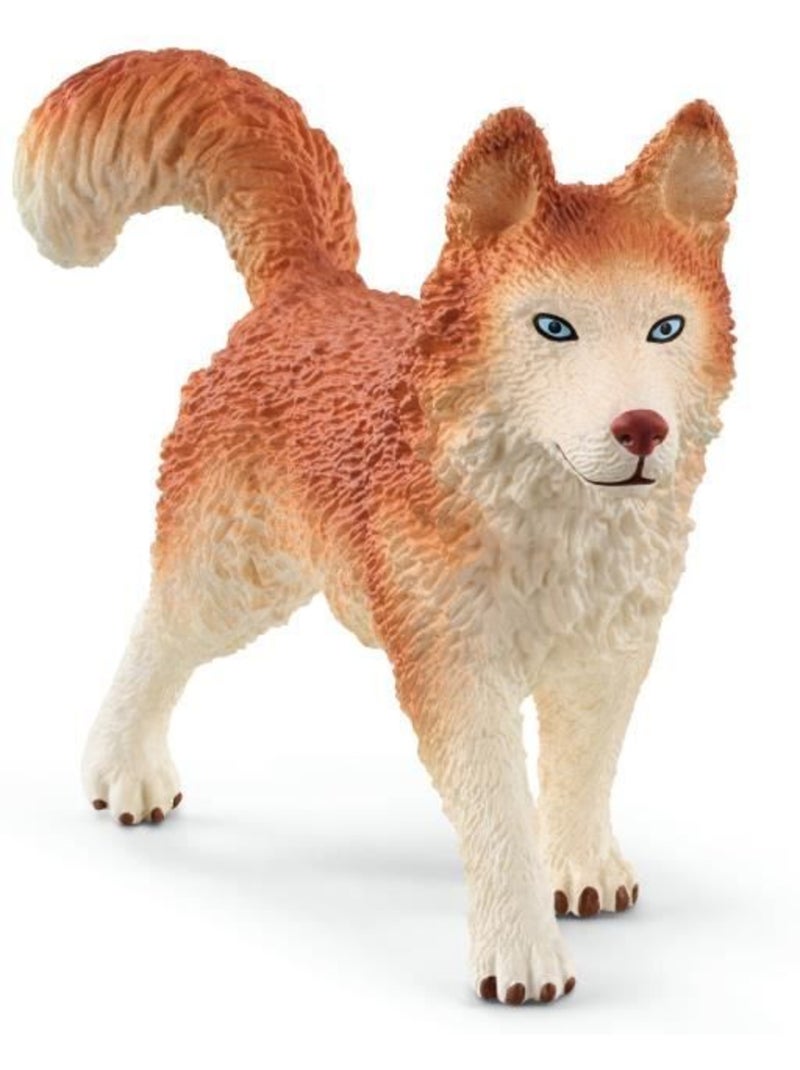Figurine - coffret expédition en antarctique wild life - schleich Marron - Kiabi