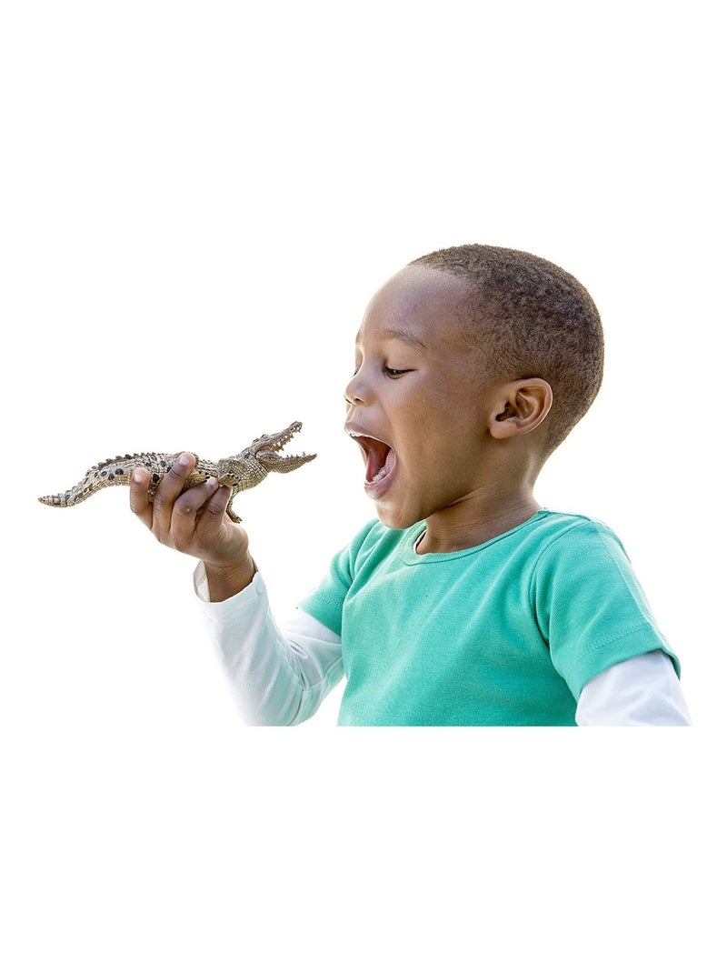 Figurine - Crocodile Marron - Kiabi