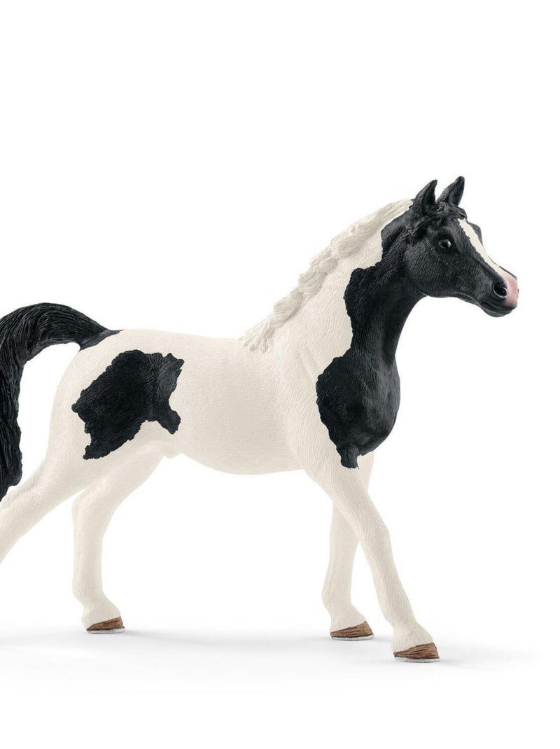 Figurine - Étalon pintabian N/A - Kiabi