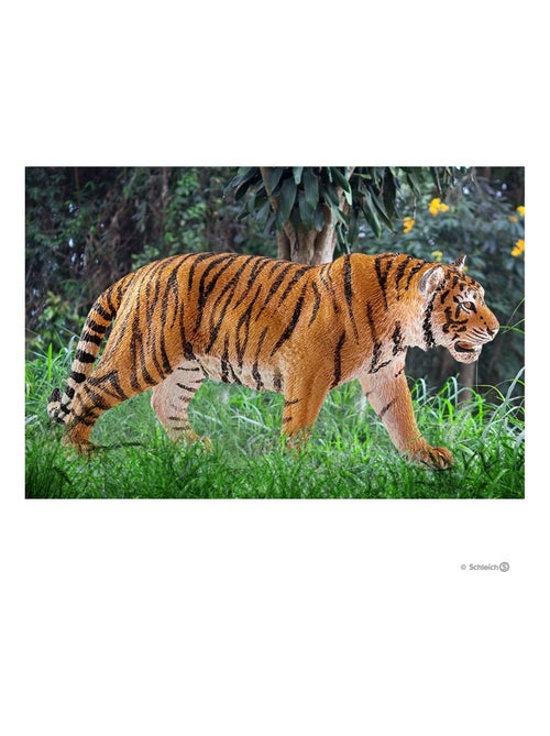 Figurine - Tigre du Bengale mâle - Kiabi