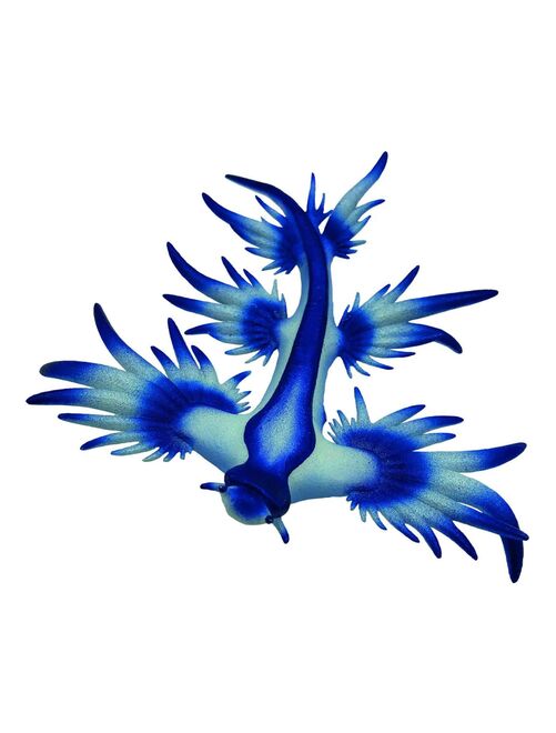 Figurine animal marin : Escargot de l'océan bleu - Kiabi