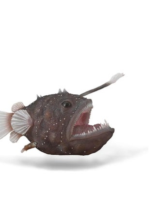 Figurine Animaux Marins (XL) : Lotte De Mer