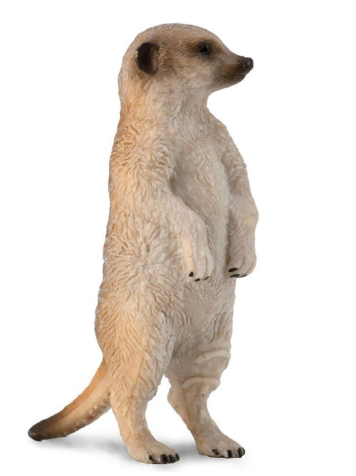 Figurine Animaux Sauvages (S): Suricate - Kiabi