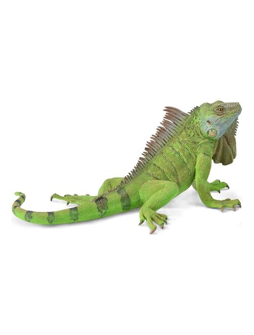 Figurine Animaux Sauvages (XL) : Iguane Vert - Kiabi