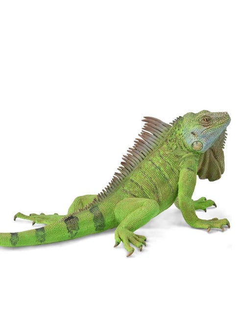 Figurine Animaux Sauvages (XL) : Iguane Vert - Kiabi
