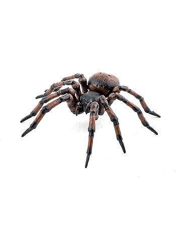 Figurine araignée commune