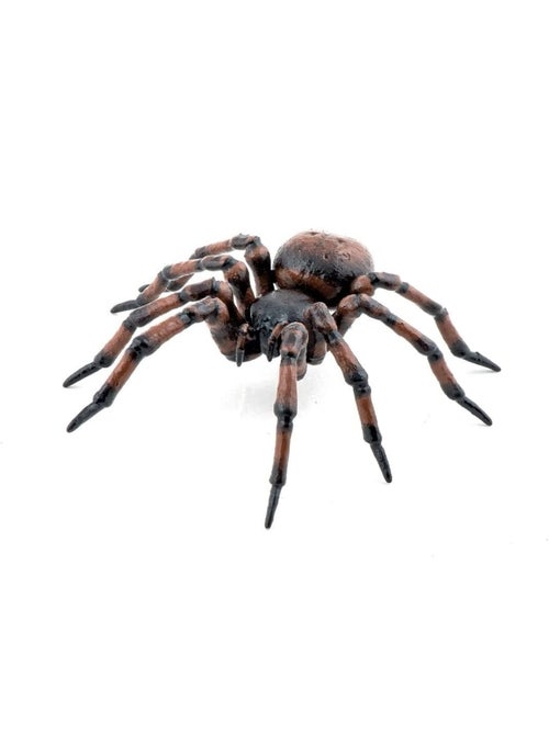 Figurine araignée commune - Kiabi