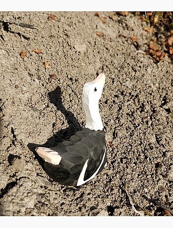 Figurine autruche