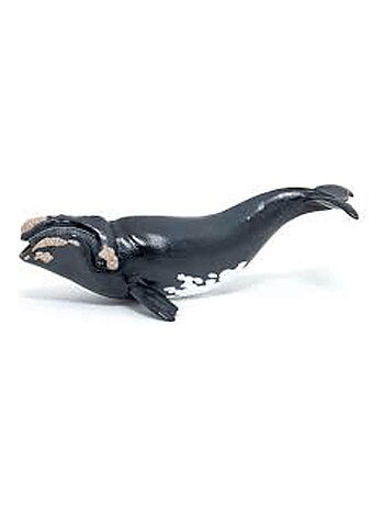 Figurine Baleine franche - Kiabi