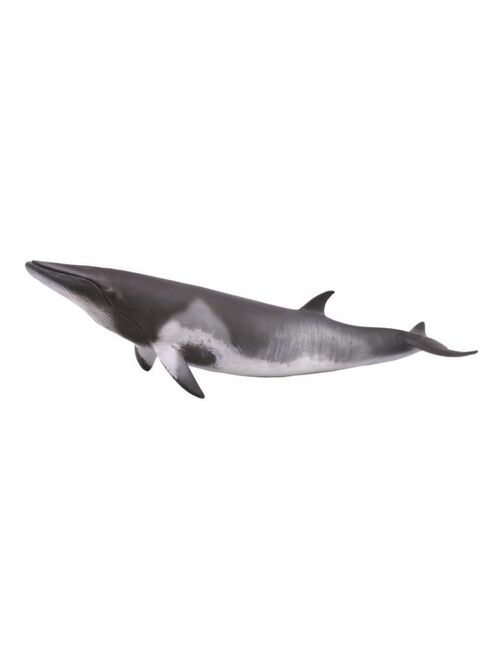 Figurine Baleine - Kiabi