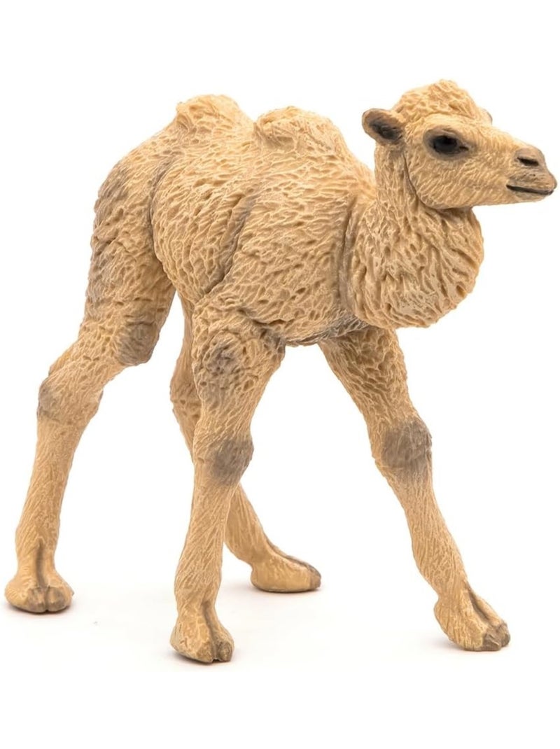 Figurine Bébé chameau Beige - Kiabi