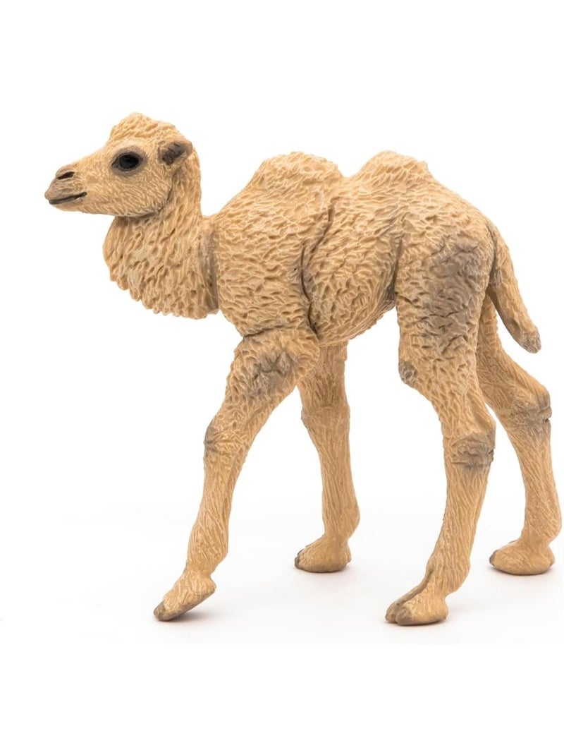 Figurine Bébé chameau Beige - Kiabi