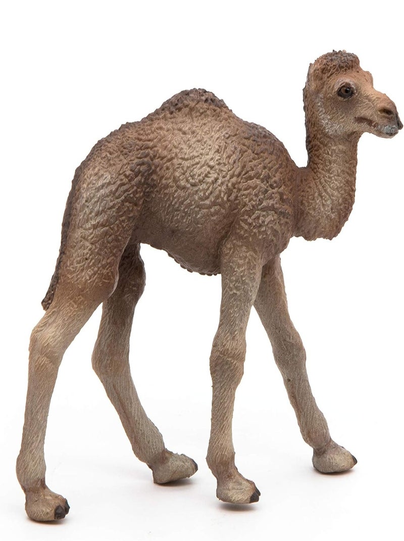 Figurine Bébé dromadaire Marron - Kiabi