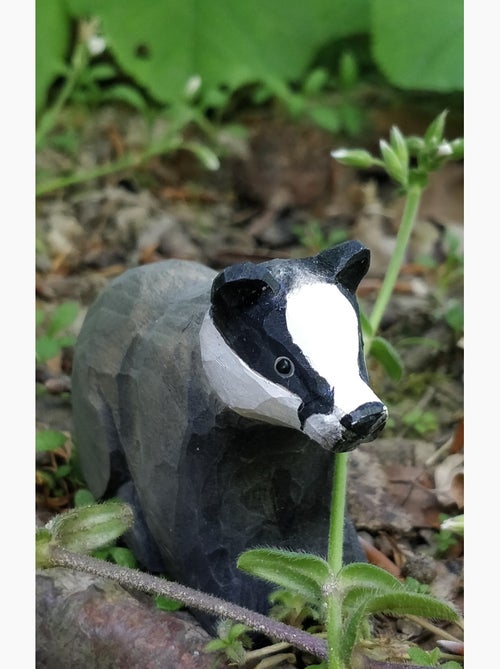 Figurine blaireau - Kiabi