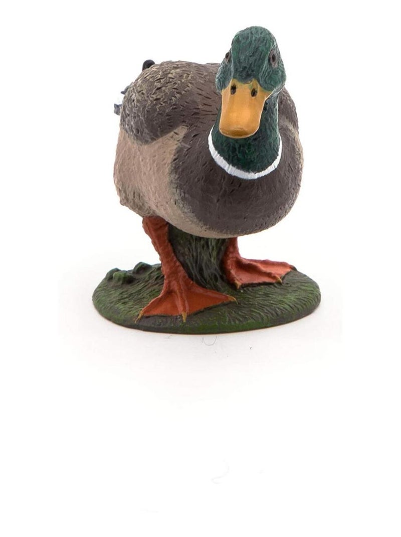 Figurine Canard colvert Marron - Kiabi