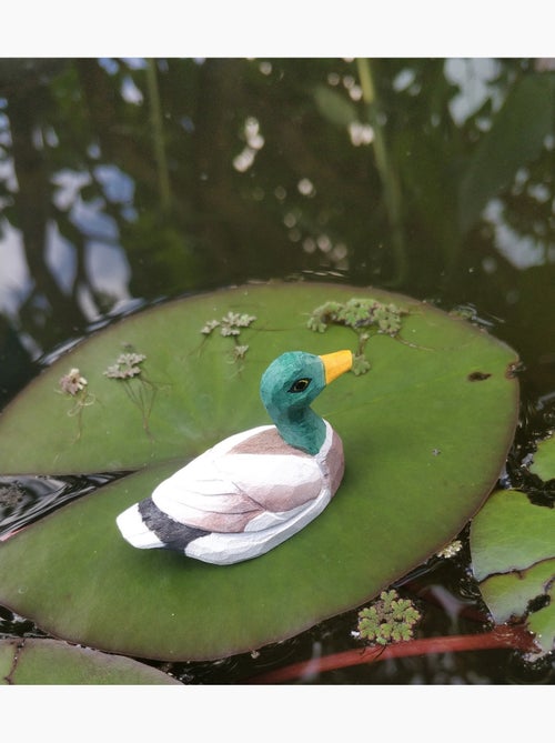 Figurine canard colvert - Kiabi