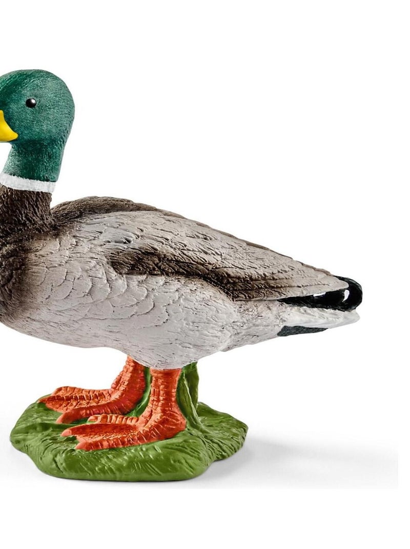 Figurine Canard N/A - Kiabi