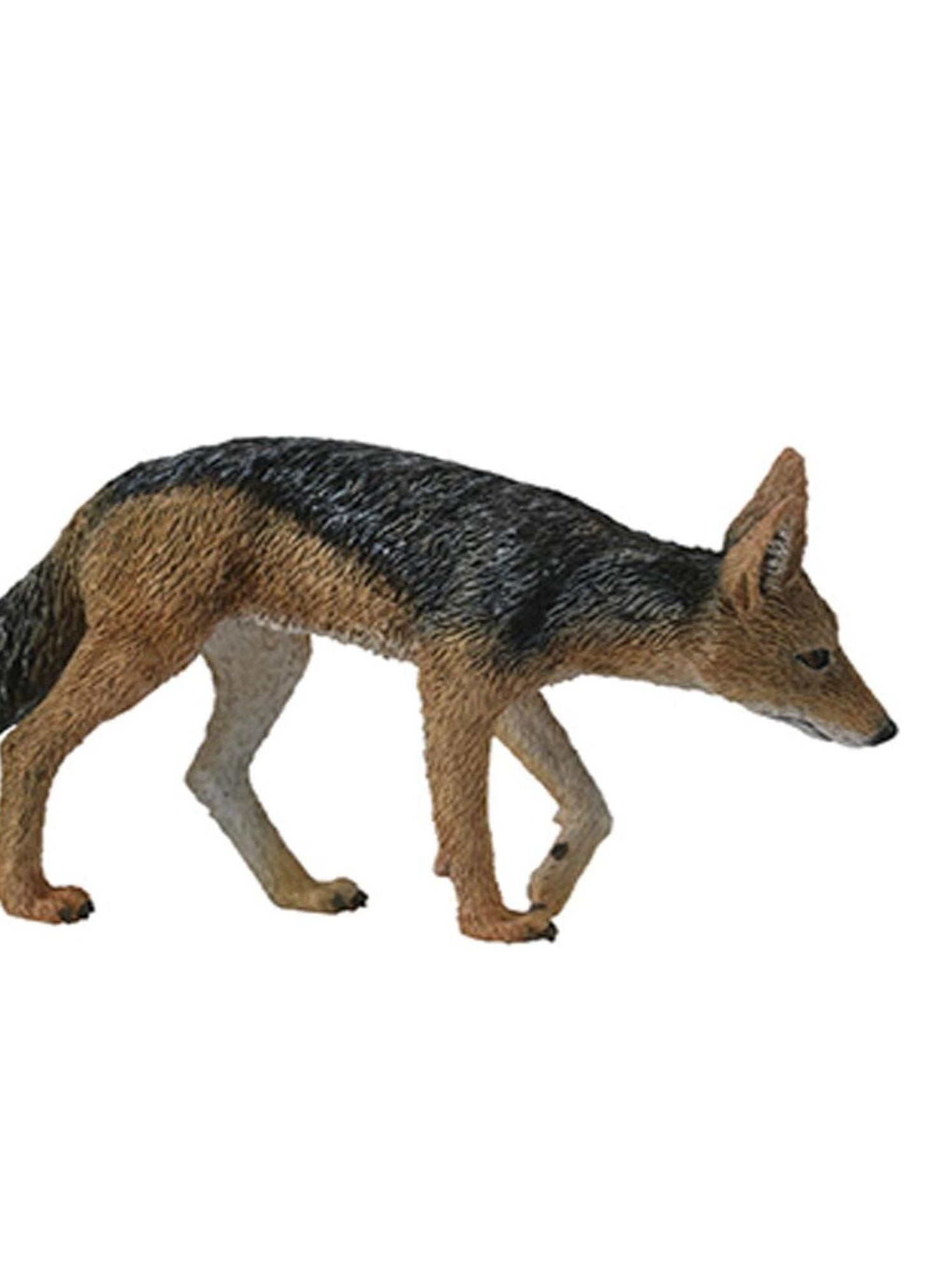 Figurine Réaliste Chacal à Dos Noir - Collecta - Neuve