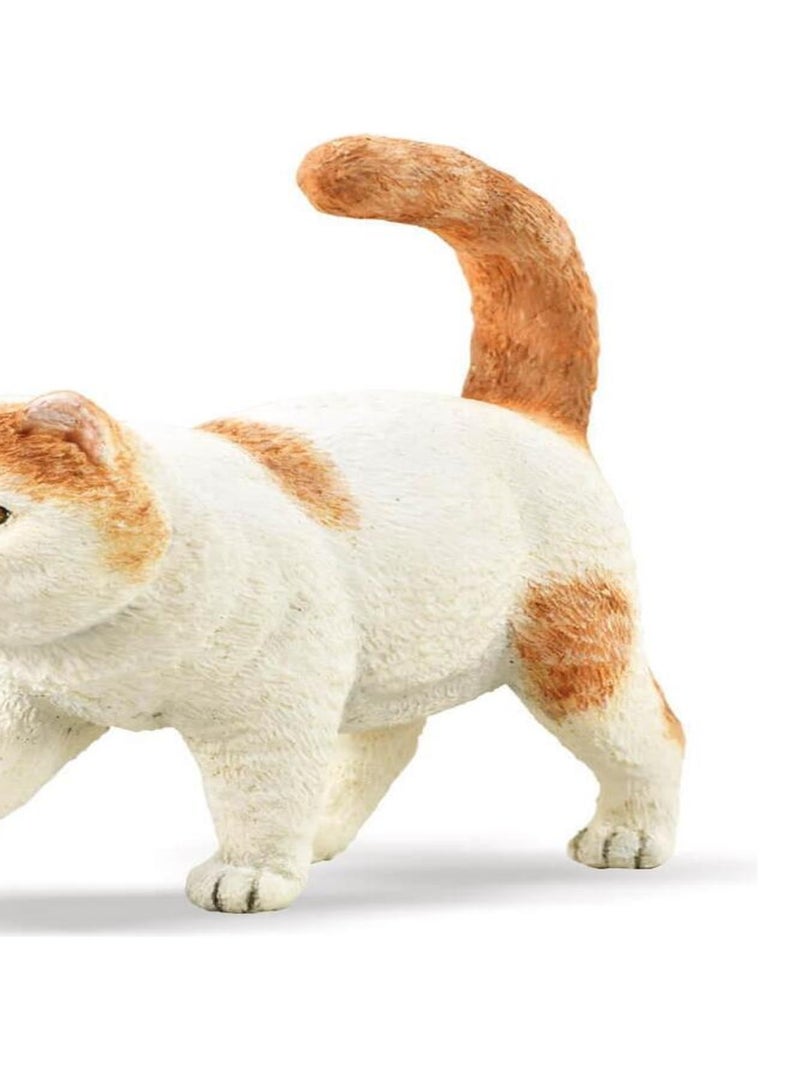 Figurine Chat : Exotic Shorthair N/A - Kiabi