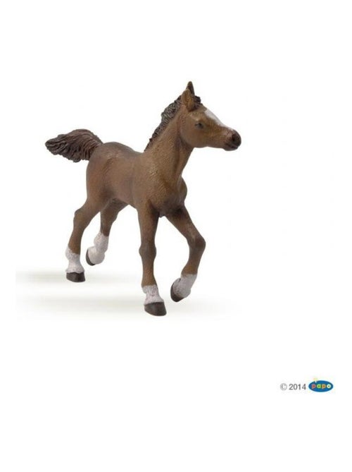 Figurine Cheval Anglo Arabe : Poulain - Kiabi