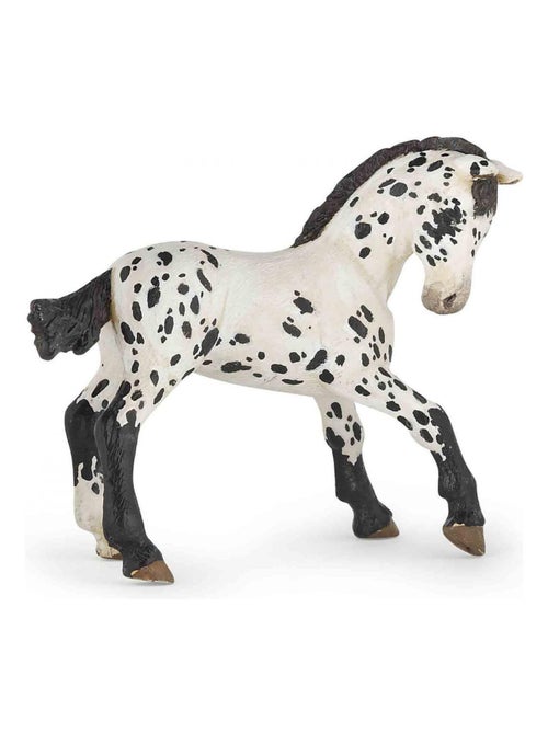 Figurine Cheval appaloosa noir : Poulain - Kiabi