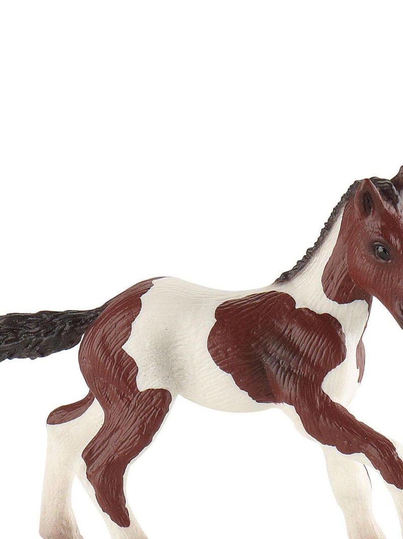 Figurine Cheval Paint Horse : Poulain N/A - Kiabi