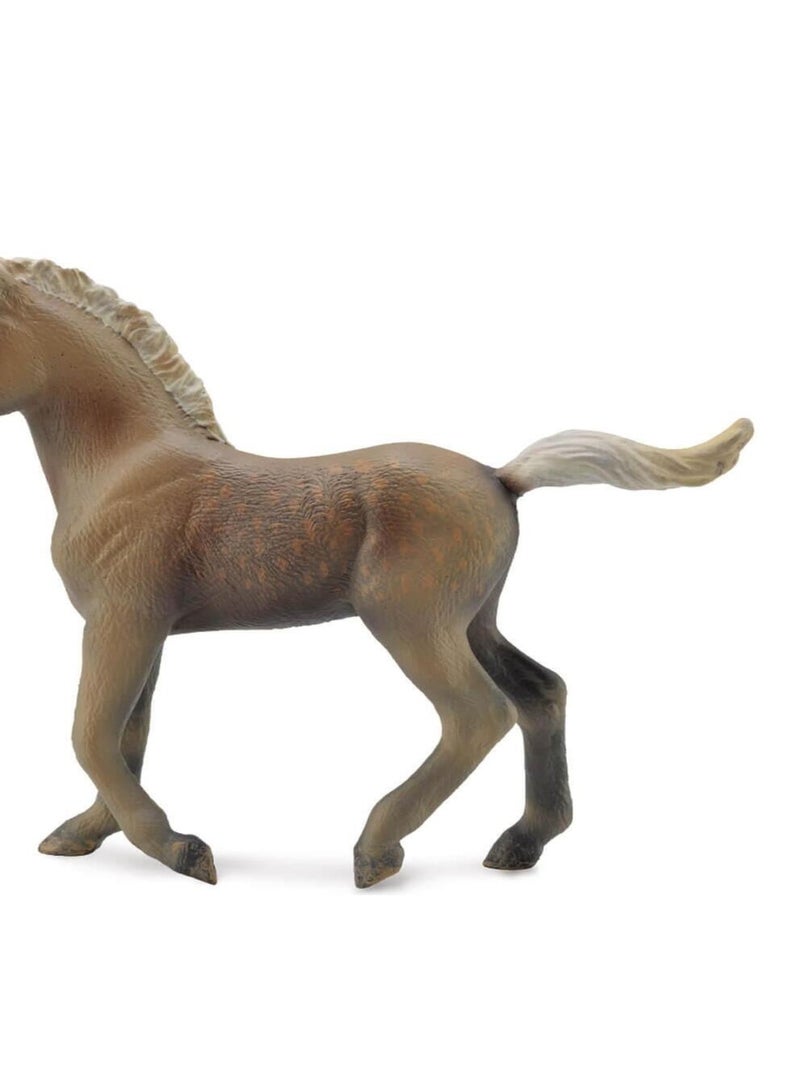 Figurine Cheval : Poulain Rocky Mountain N/A - Kiabi