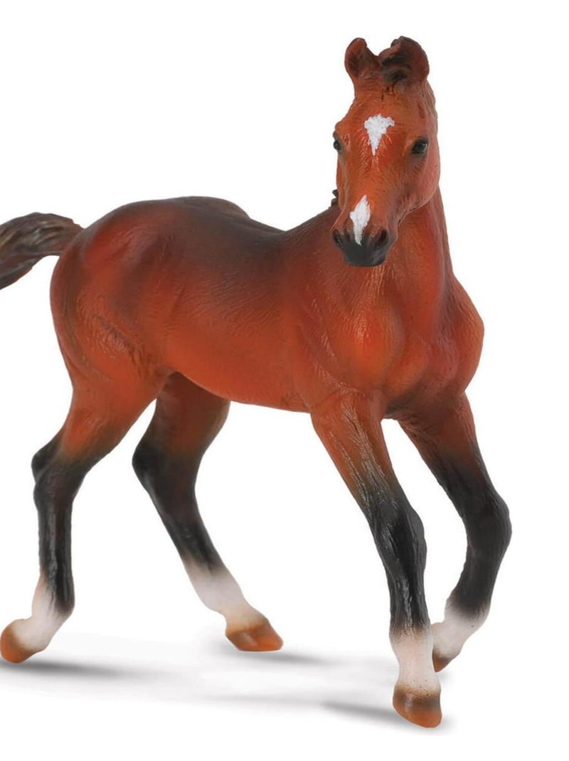 Figurine Cheval : Quarter Horse Poulain Bay N/A - Kiabi