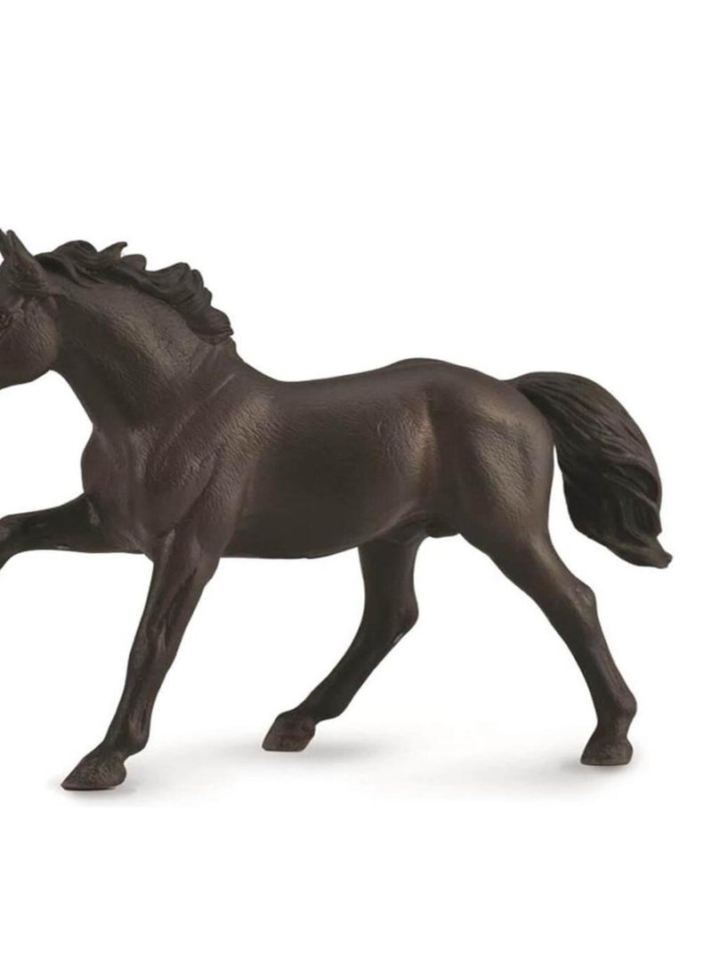 Figurine Cheval XL : Étalon Nonius N/A - Kiabi
