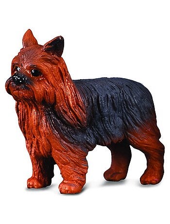 Figurine Chien : Yorkshire Terrier - Kiabi